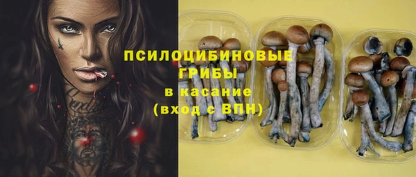 мескалин Арсеньев