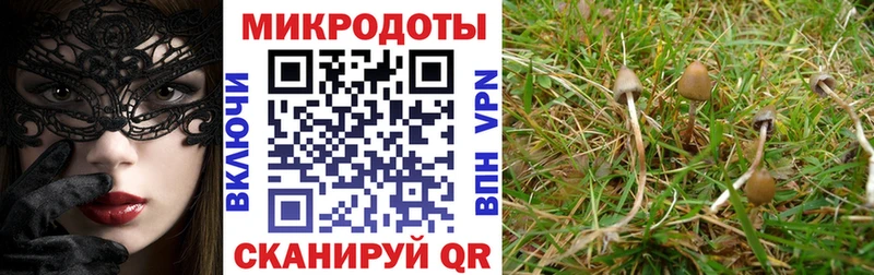 Псилоцибиновые грибы Magic Shrooms Правдинск