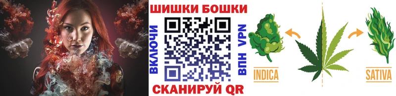 Конопля план  Правдинск 